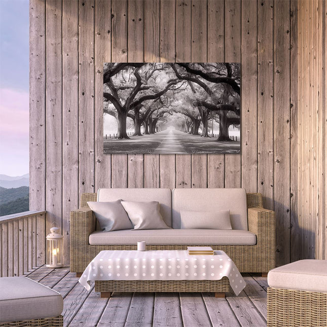 Tuinposter buiten terras Zwart Wit Beeld van een met Bomen Omzoomd Pad