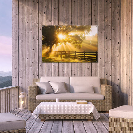 Tuinposter buiten terras Zonnestralen Komen door een Boom in een Veld