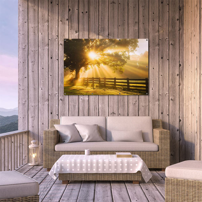 Tuinposter buiten terras Zonnestralen Komen door een Boom in een Veld