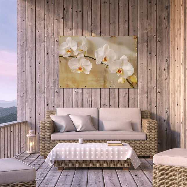 Tuinposter buiten terras Witte Orchideeën op een Tak