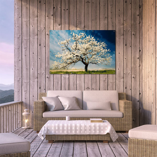 Tuinposter buiten terras Witte Boom in een Veld