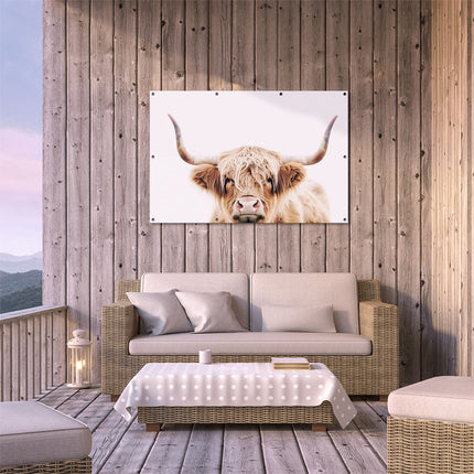 Tuinposter buiten terras Schotse Hooglandkoe met Hoorns