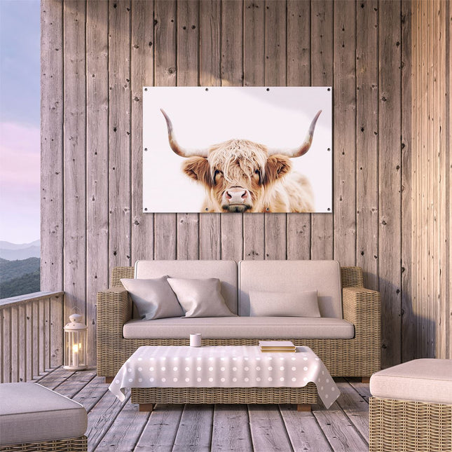 Tuinposter buiten terras Schotse Hooglandkoe met Hoorns