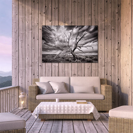 Tuinposter buiten terras Dode Boom Midden in een Stormachtige Lucht