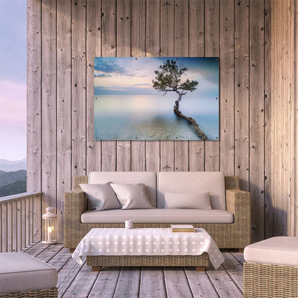 Tuinposter buiten terras Eenzame Boom op een Strand bij Zonsondergang
