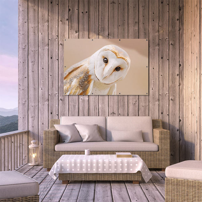 Tuinposter buiten terras Close Up van een Uil op een Beige Achtergrond