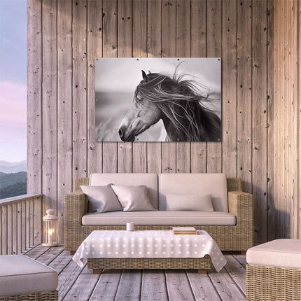 Tuinposter buiten terras Zwart Wit Afbeelding van een Paard