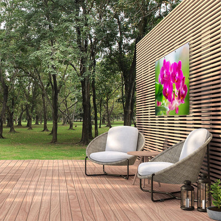 Tuinposter buiten Roze Orchidee Bloemen