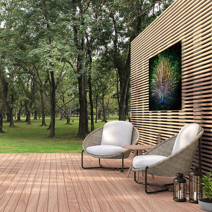 Tuinposter buiten Pauw Met Kleurrijke Veren - Kleur