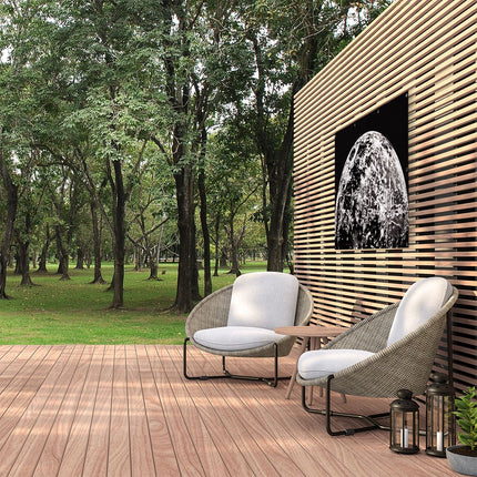 Tuinposter buiten Zwart Wit Beeld van een Maan