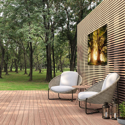 Tuinposter buiten De Zon schijnt door de Bomen