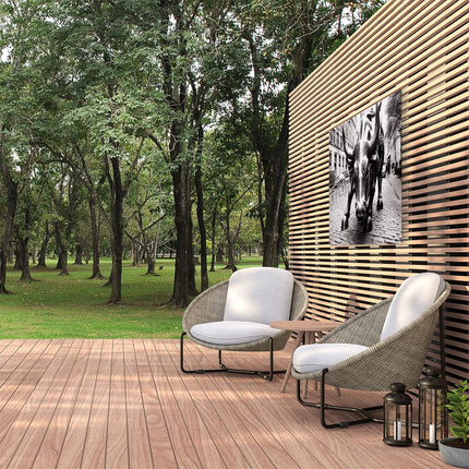Tuinposter buiten Zwart Wit Beeld van een Stierstandbeeld