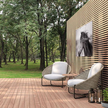 Tuinposter buiten Zwart Wit Afbeelding van een Paard