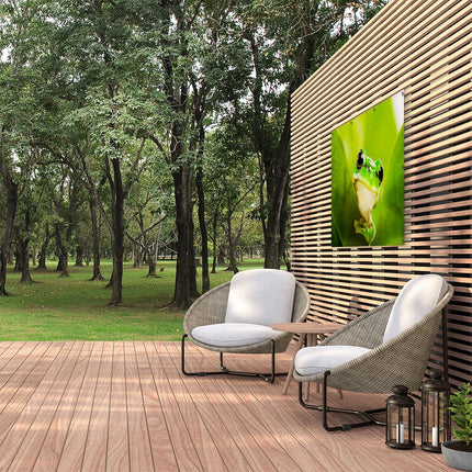 Tuinposter buiten Kikker