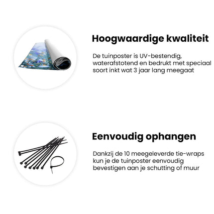 Tuinposter informatie Witte Kamille Bloemen Met Een Vlinder