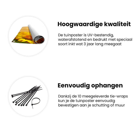 Tuinposter informatie Zonnebloemen Veld Met Zonopkomst