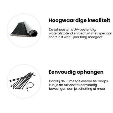 Tuinposter informatie Schotse Hooglander Koe In De Bergen