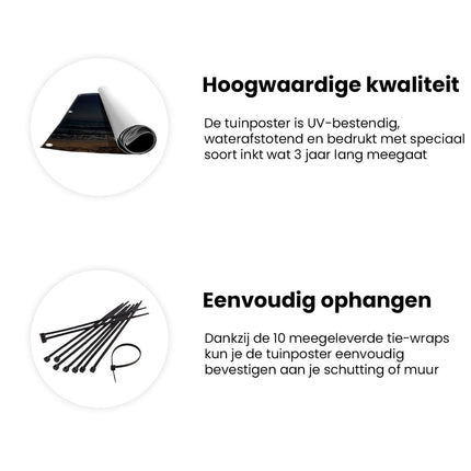 Tuinposter informatie Tropisch Strand In De Nacht Met Volle Maan