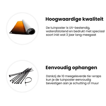 Tuinposter informatie Boeddha Standbeeld Bij Zonsondergang