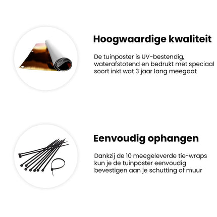 Tuinposter informatie Silhouet Van Boeddha Beeld Met Zonsondergang