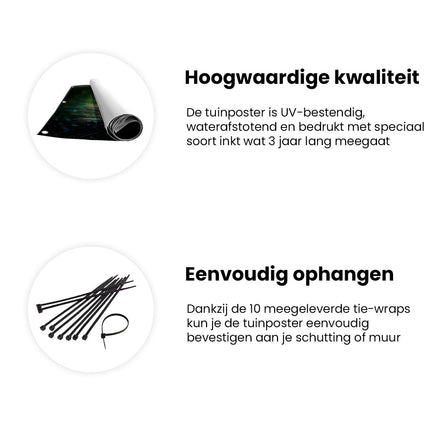 Tuinposter informatie Pauw Met Kleurrijke Veren - Kleur