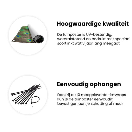 Tuinposter informatie Pauw Met Kleurrijke Veren
