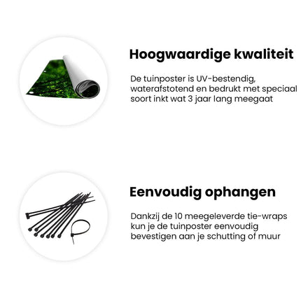 Tuinposter informatie Boom In Het Bos Met Fel Groene Bladeren