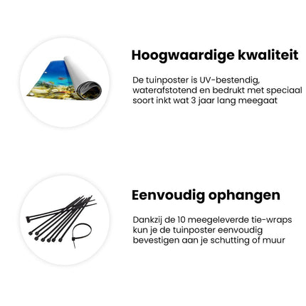 Tuinposter informatie Vissen in de Oceaan met Koralen