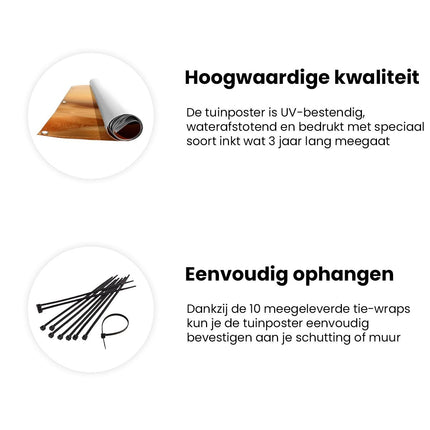 Tuinposter informatie Woestijn bij Zonsondergang in de Sahara