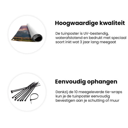 Tuinposter informatie Bizons Grazen voor een Schuur