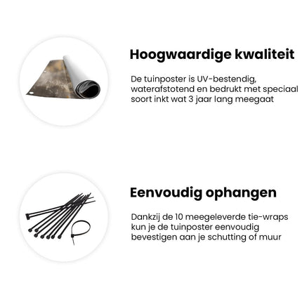 Tuinposter informatie De Afbeelding Toont een Grijze en Gouden Verf op een Muur
