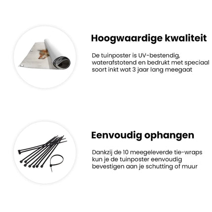Tuinposter informatie Afbeelding van een Wolf die door een Bos loopt
