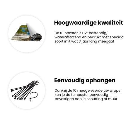 Tuinposter informatie Strand met Palmbomen