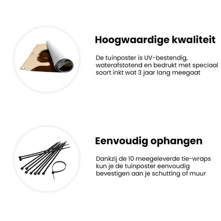 Tuinposter informatie Drie Zwarte Vrouwen met Gouden Oorbellen