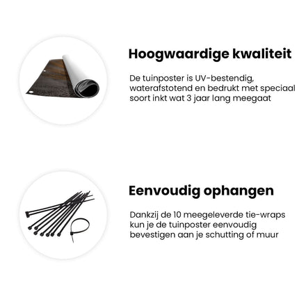 Tuinposter informatie Gouden Bladeren op een Zwarte Achtergrond