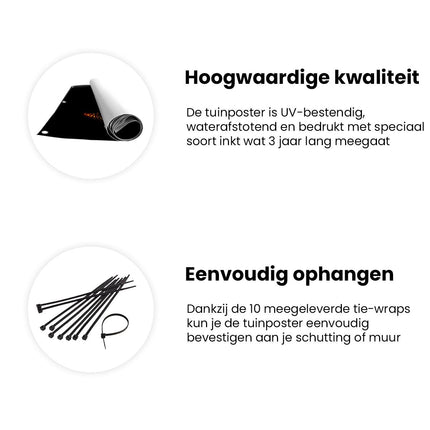 Tuinposter informatie De Lippen van de Vrouw zijn Goudkleurig Verlicht