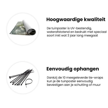 Tuinposter informatie Witte Rozen in een Vaas