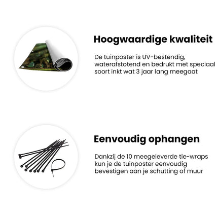 Tuinposter informatie Met Bomen Omzoomde Weg in Charleston, Zuid-Carolina