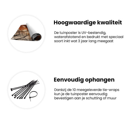 Tuinposter informatie Herfstbladeren in de Bomen