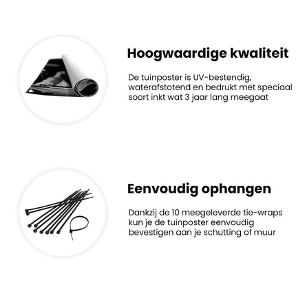 Tuinposter informatie Twee Mannen die Pool Spelen