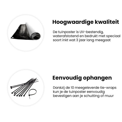 Tuinposter informatie Zwart Wit Beeld van een Mistig Bos