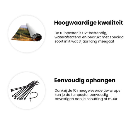 Tuinposter informatie Kunstwerk van een Wijngaard