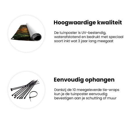 Tuinposter informatie Boom in een Bos