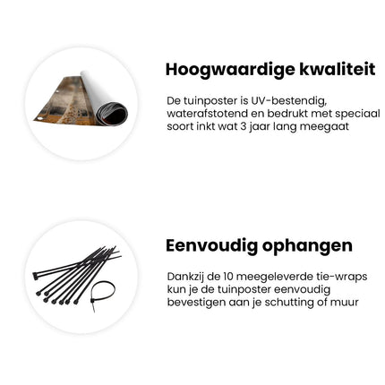 Tuinposter informatie Weg Omzoomd met Bomen in de Herfst