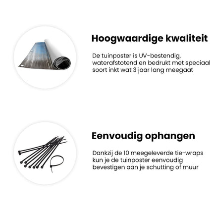 Tuinposter informatie Wazig Beeld van Witte Berkenbomen in de Sneeuw