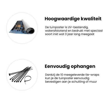 Tuinposter informatie De Zon schijnt door een met Sneeuw Bedekt Bos