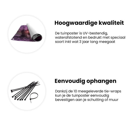 Tuinposter informatie Sakura Bloeit op een Pad met Lantaarns