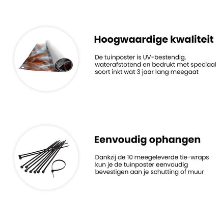 Tuinposter informatie Vrouw met een Tulband en Sieraden