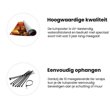 Tuinposter informatie Kunstwerk van een Bankje in een Park