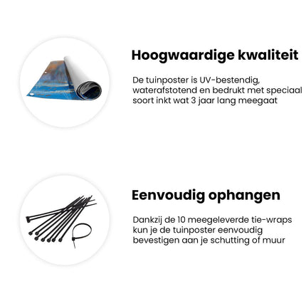 Tuinposter informatie Berkenbomen in de Sneeuw
